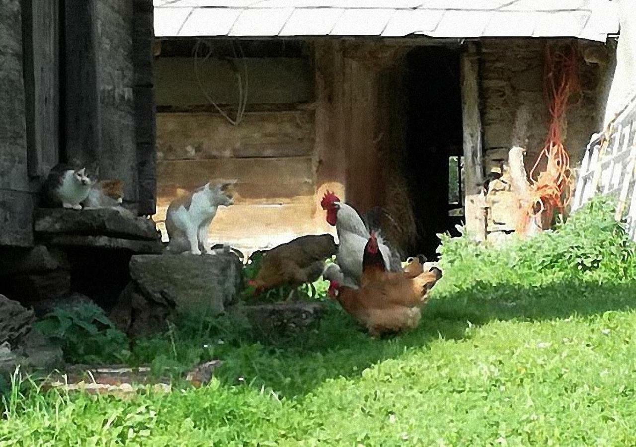 Bauernhof Hatzlhof Schöder Kültér fotó