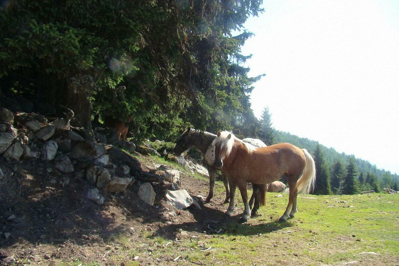 Bauernhof Hatzlhof Schöder Kültér fotó