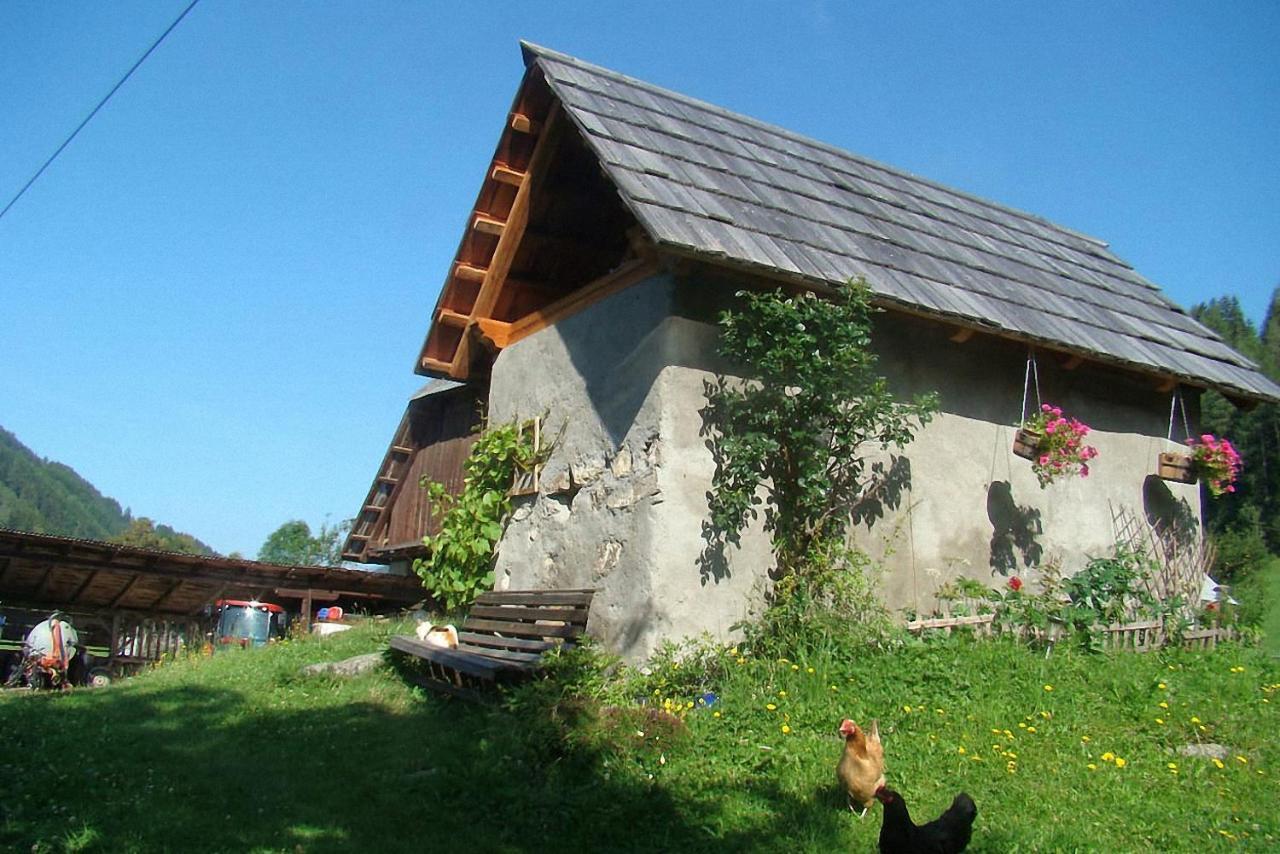 Bauernhof Hatzlhof Schöder Kültér fotó